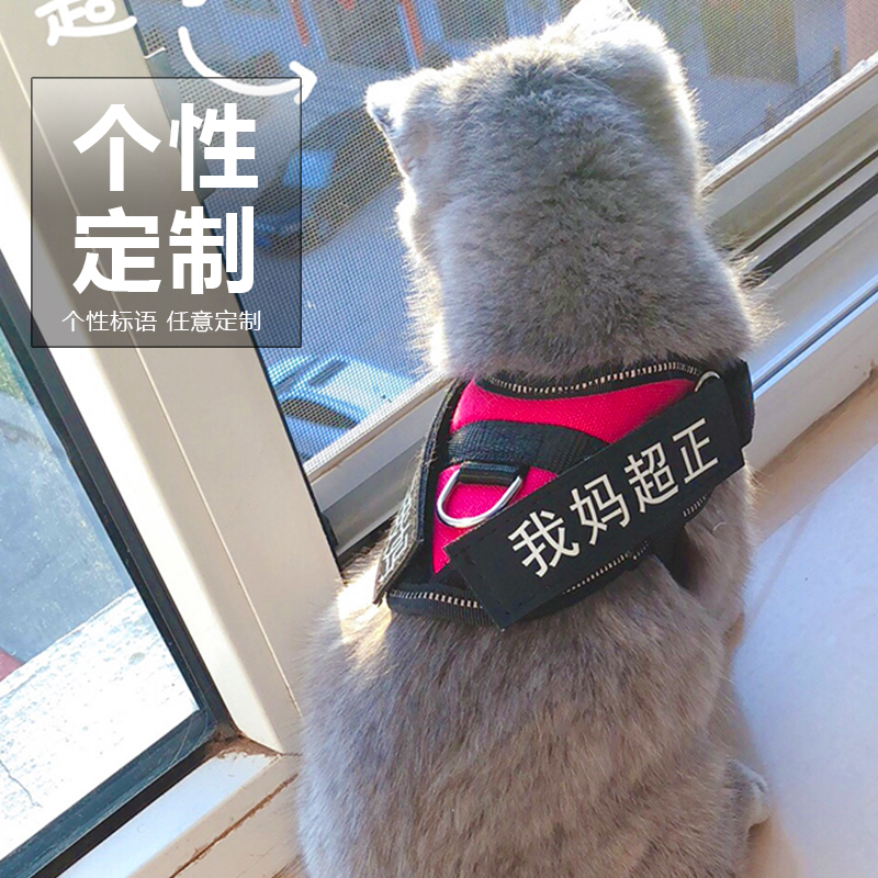 猫咪猫绳遛猫绳背心式防挣脱拴猫牵猫专用牵引溜猫绳猫家用牵引绳