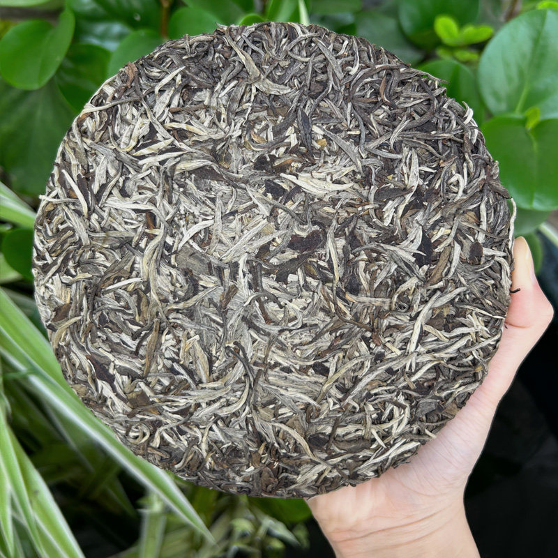 2019陈年白毫银针茶饼老白茶银针老白茶叶300g高山醇香白茶饼福鼎