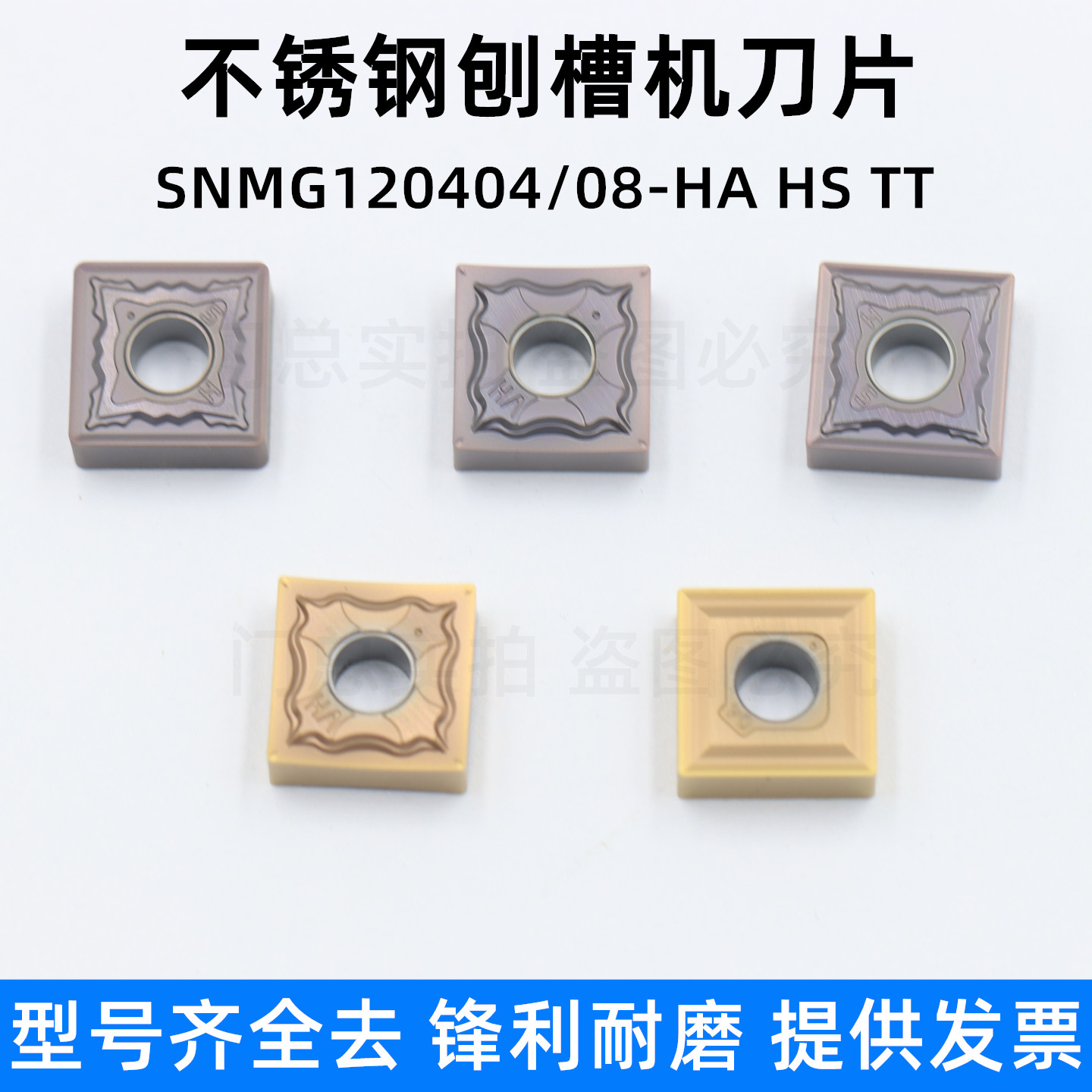 SNMG120404-HASNMG120404-TT