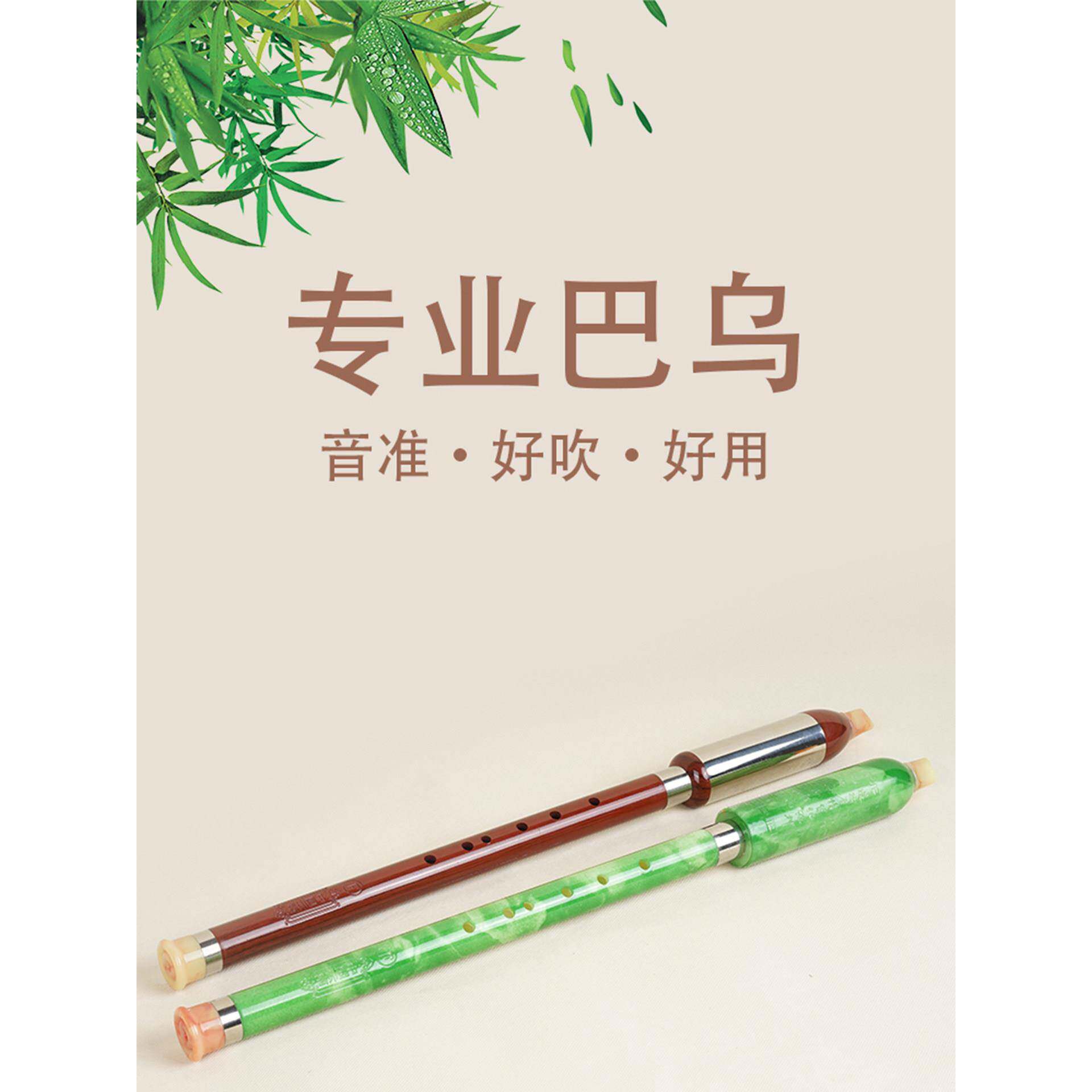 巴乌乐器初学者专业演奏成人考级竖吹巴乌G调F调小学生