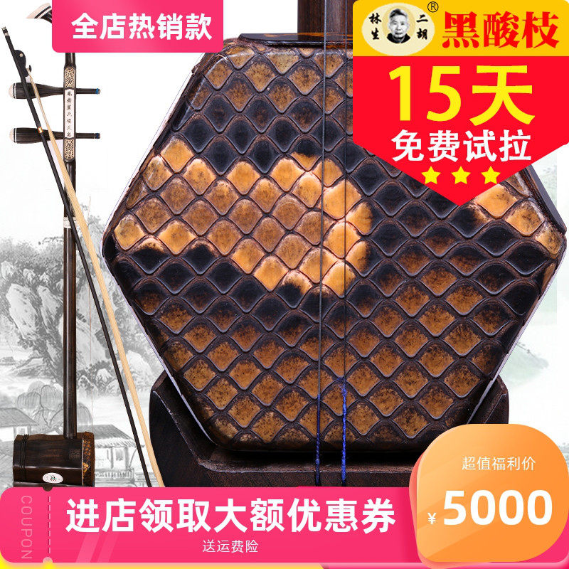 陆林生二胡 三星黑酸枝二胡  考级演奏用琴