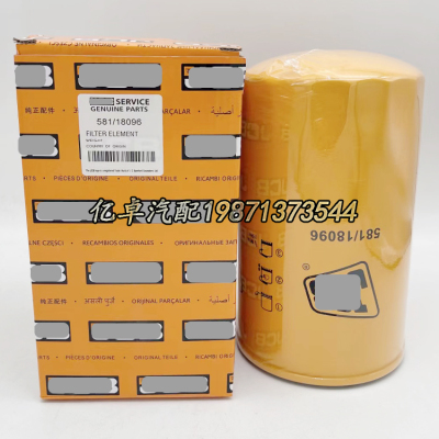 581/18096 02/801481 02801481 2/801481 P502363/550596机油滤芯