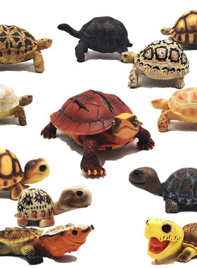 仿真陆龟模型玩具树脂象龟