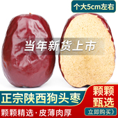 狗头枣陕西延安狗头枣特大枣新枣陕北特产狗头枣红枣干货