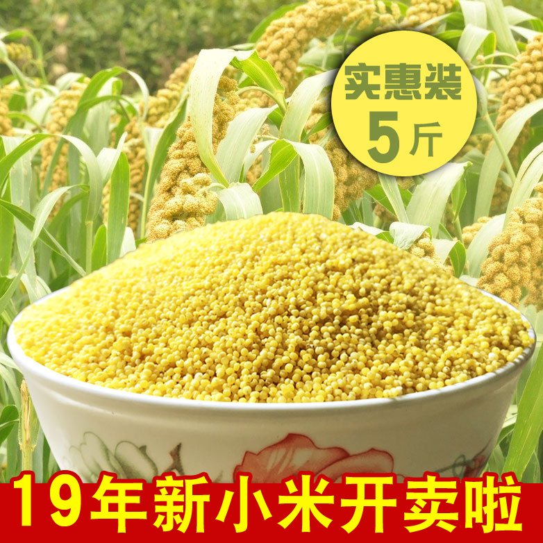 (用31.2元券)2019年新精品黄小米农家特产糯小米