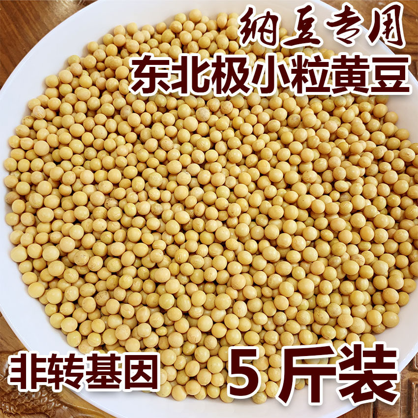 极小粒珍珠粒黄豆发酵纳豆专用豆新鲜非转基因芽豆5斤装2500克图片
