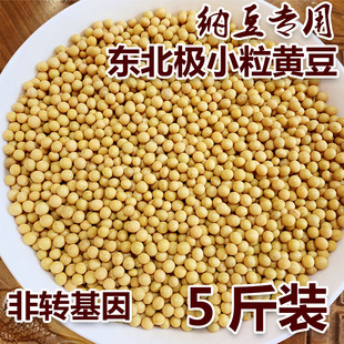 极小粒珍珠粒黄豆发酵纳豆专用豆新鲜非转基因芽豆5斤装2500克