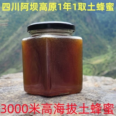 3000米高海拔木桶土蜂蜜四川阿坝