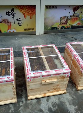 蜂群中华蜜蜂种群意蜂群带蜂王蜂脾2子脾蜂箱包邮+技术 特惠