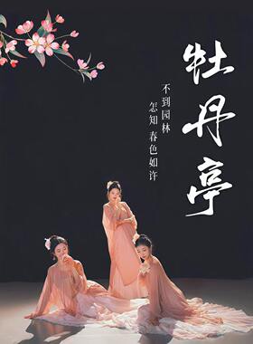 牡丹亭舞蹈服套装2026年新款汉风