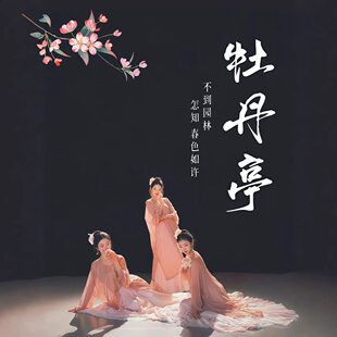 牡丹亭舞蹈服套装2026年新款汉风雪纺圆领衫新中式飘逸大摆裙舞服