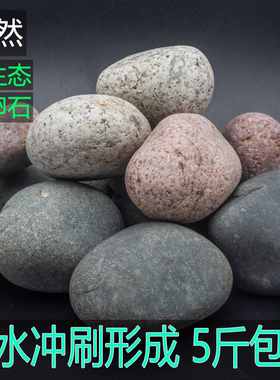 天然鹅卵石大号河卵石户外铺路石头鱼缸水族庭院景观园林造景装饰