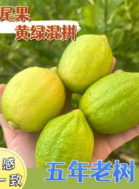 香水柠檬青柠包邮二级果无籽四季奶茶店专用薄皮厚皮青黄广东直供
