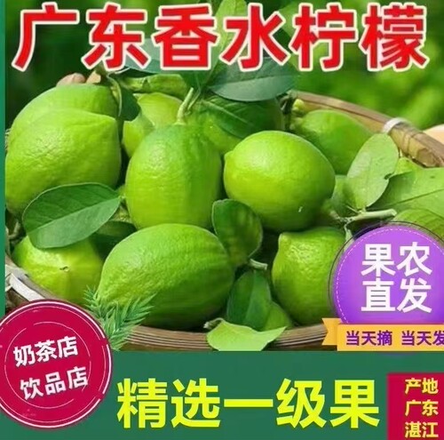 果农直发无籽多汁香水柠檬