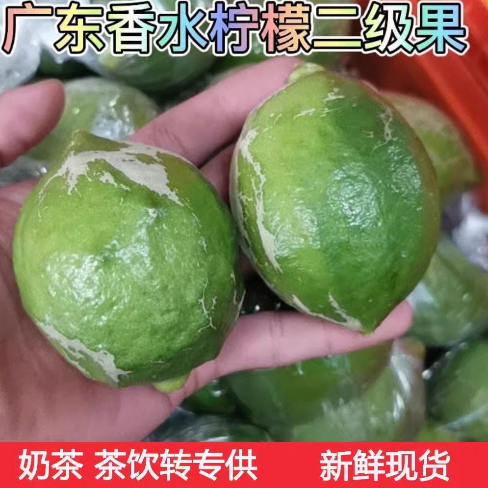广东香水柠檬商用二级果花皮青黄新鲜无籽奶茶店专用四季鲜果柠檬