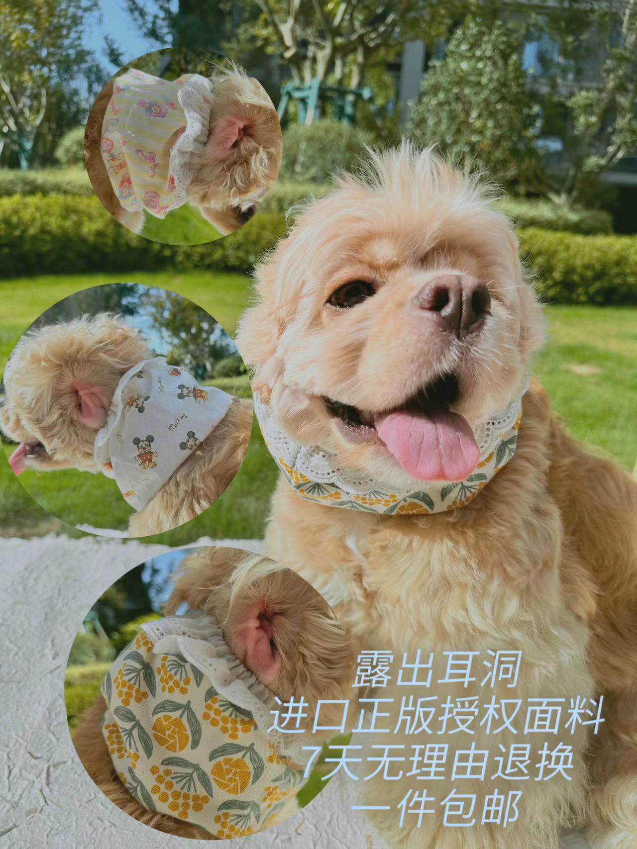 幼犬耳套 现货宠物狗狗头套小体马尔济斯吃饭头套泰迪约克夏美卡