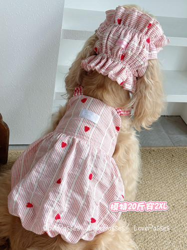 爱心条纹南瓜裙LOVEPASSES夏季宠物狗狗连衣裙 弹力肩带可卡泰迪
