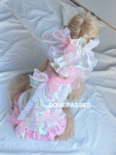 LOVEPASSES 狗狗服饰无袖连衣裙小型犬可卡泰迪宠物缎面衣服可爱