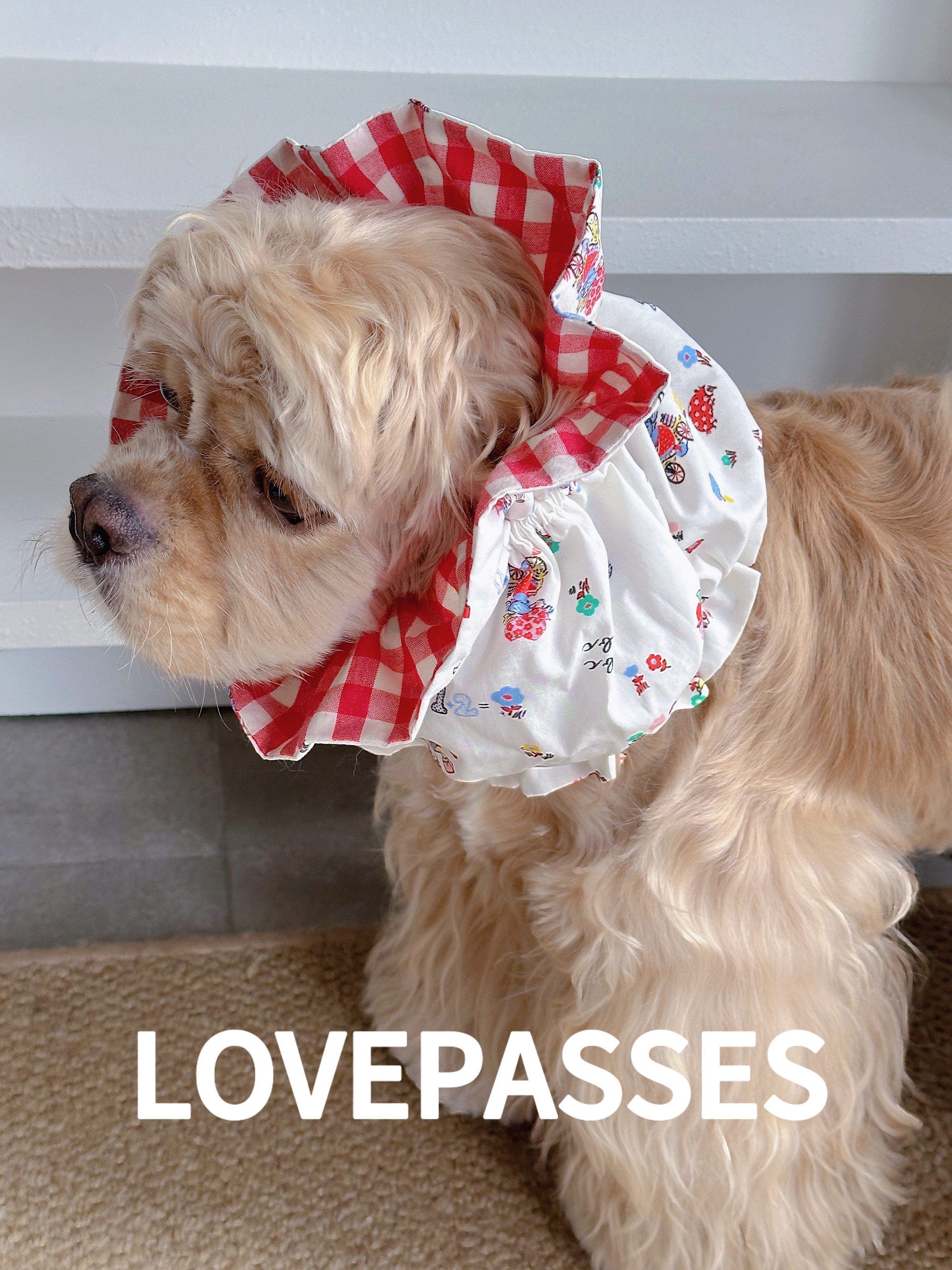 「多款」荷叶边耳套 LOVEPASSES 纯棉卡通精致耳套美卡可卡布头套,宠物/宠物食品及用品,发饰/头饰,淘宝优惠券,粉丝福利购,淘宝优惠卷