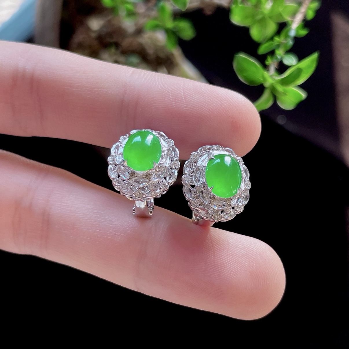 2025天然缅甸翡翠A货冰种阳绿蛋面耳钉18k金镶嵌耳饰1125JP105