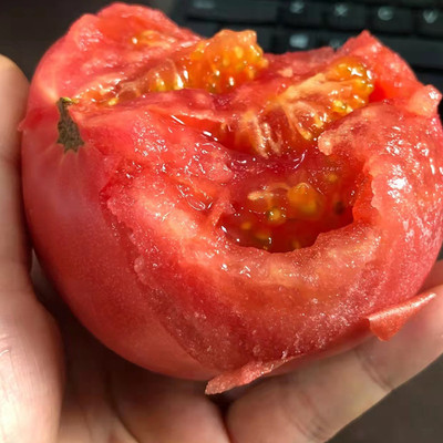 北京平谷农家西红柿自然熟不5斤