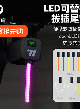 WEST BIKING公路自行车领航灯流水尾灯LED可换灯条插拔充电警示灯