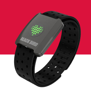 黑鸟Blackbird手臂心率带 HR5光电 心率监测运动跑步骑行健身臂带