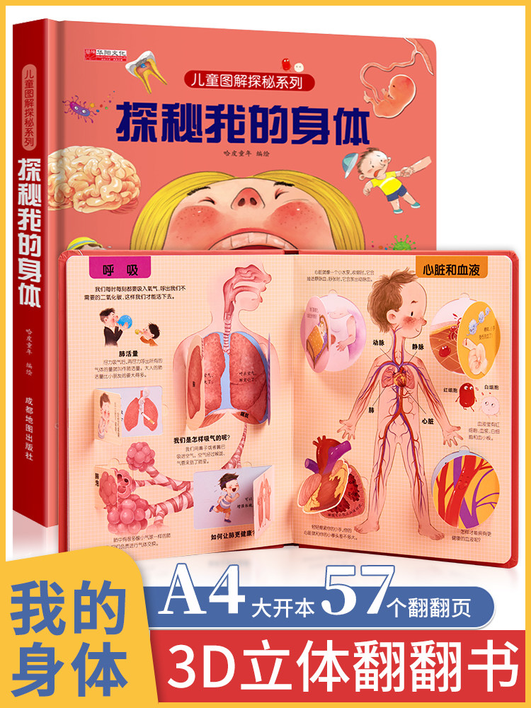 探索揭秘系列儿童翻翻书全套探秘我的身体3d立体书籍儿童绘本  我们的