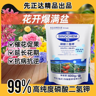 中化先正达出品99%磷酸二氢钾花肥料盆栽膨果增甜促花爆花肥料
