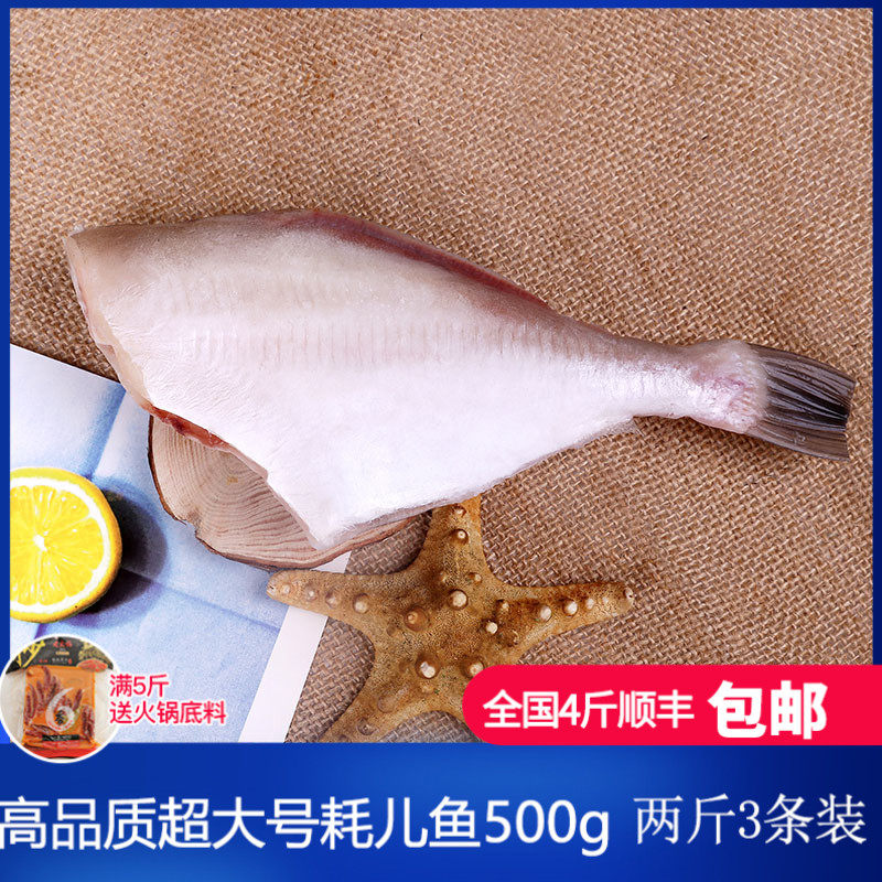 大号耗儿鱼500g 新鲜冷冻马面鱼 扒皮鱼海鲜水产 剥皮鱼 重庆四川