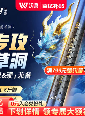 沃鼎潜龙在渊炮竿长杆传统钓打窝
