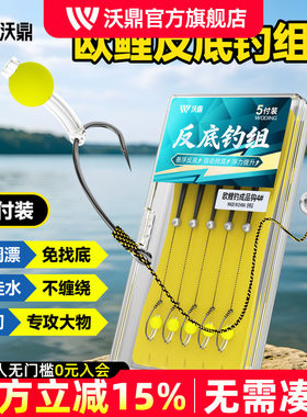 沃鼎反底钓组欧鲤钓成品免调漂