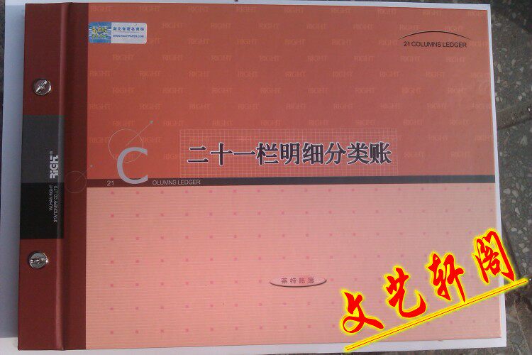 莱特账本二十一栏式明细分类账