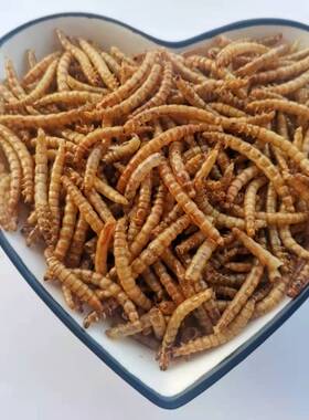 柯尔鸭粮食柯尔鸭可达鸭零食淡水鱼虾虾干面包虫银鱼鱼干大麦虫干