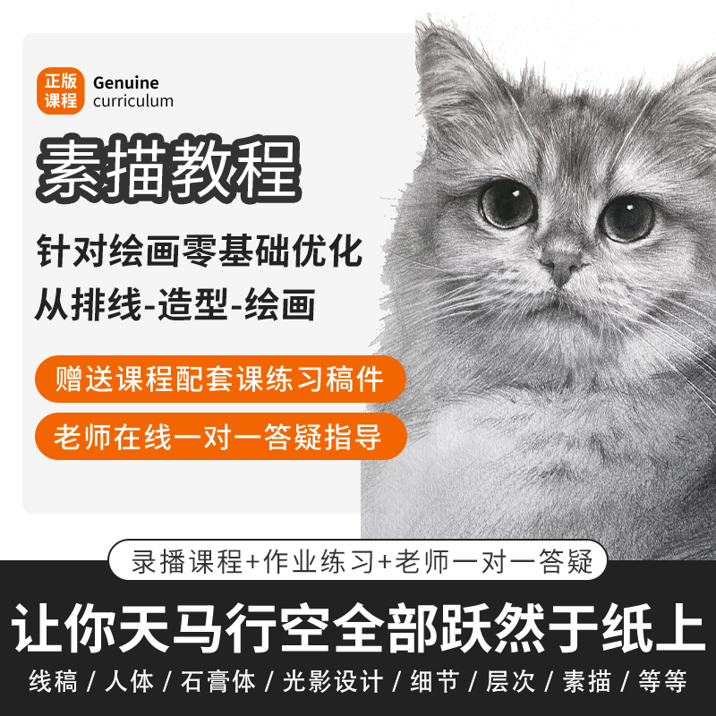 素描基础室内课程教程零基础画画成人学绘画手绘彩铅动漫漫画课程