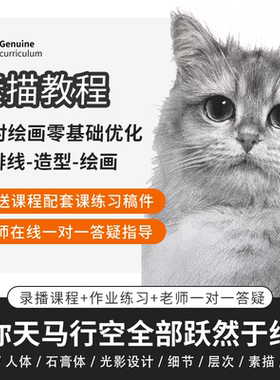 素描基础室内课程教程零基础画画成人学绘画手绘彩铅动漫漫画课程