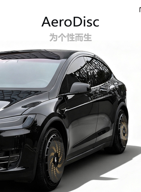 南疆科技适用特斯拉19寸轮毂盖model3/y焕新18/20/21/22寸轮毂罩