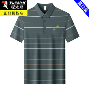 冰丝带兜半袖 啄木鸟男士 短袖 t恤有口袋中年爸爸夏装 男上衣 polo衫