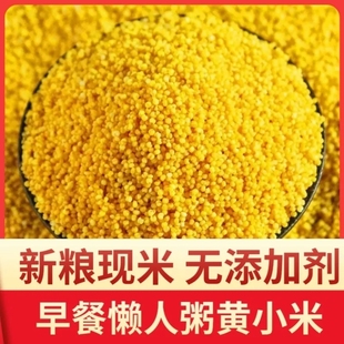 新米无添加纯石磨农家黄小米油脂厚小米粥山西沁洲特产优质黄小米