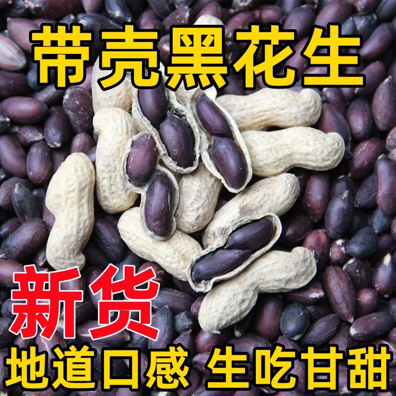 新出鲜黑花生带壳老品种大原味颗粒新带壳晒干花生米油炸水煮小菜