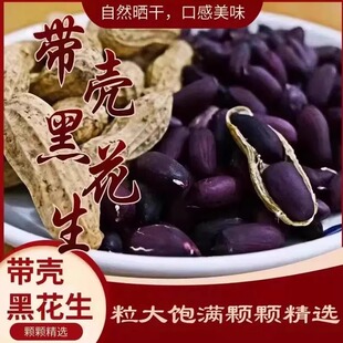 9月出带壳黑花生富硒正品云黑花生种子紫衣花生黑衣泡水南花草茶