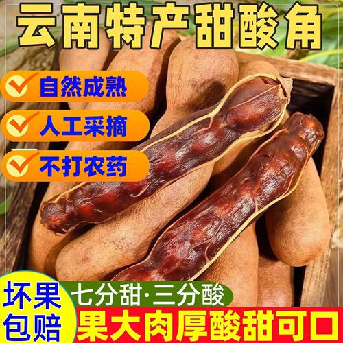 新货上市云南甜酸角人工采摘无添加健康儿童办公解馋开会零食大果