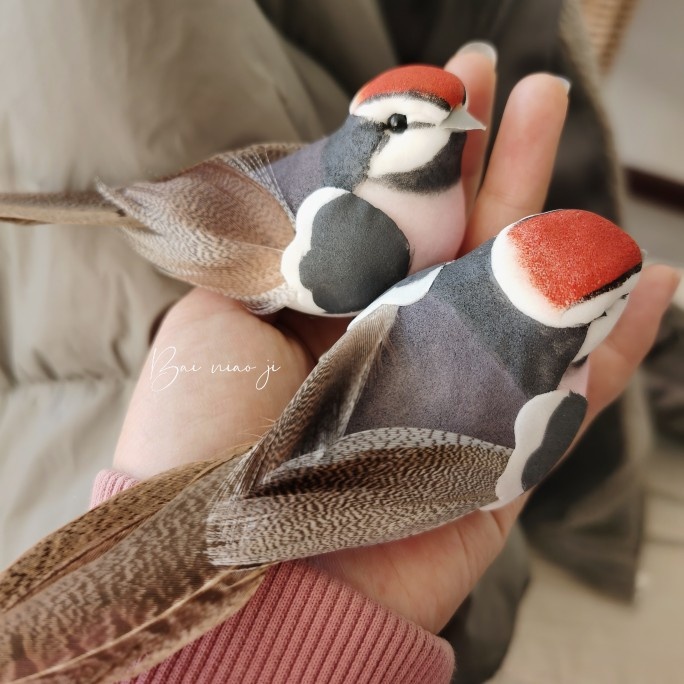 百鸟集原创手作 仿真手绘红头小鸟羽毛头饰 个性肩章胸针男女通用,饰品/流行首饰/时尚饰品新,胸针,淘宝优惠券,粉丝福利购,淘宝优惠卷