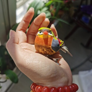 百鸟集重工 饰品头饰 仿真相思鸟小肥雀 胸针肩章发夹装