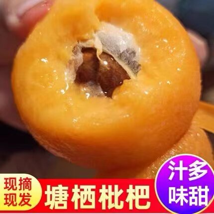杭州新鲜现摘大果甜枇杷