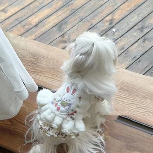 冬季 宠物棉衣冬天泰迪比熊博美雪纳瑞小型幼犬猫咪狗狗衣服秋冬装