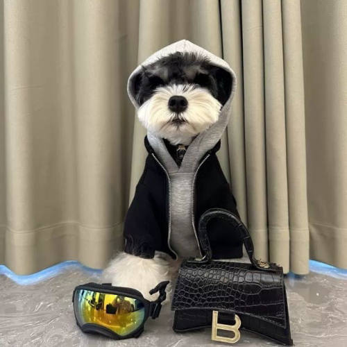 狗狗衣服假两件秋冬保暖雪纳瑞比熊泰迪柴犬西高地宠物连帽卫衣