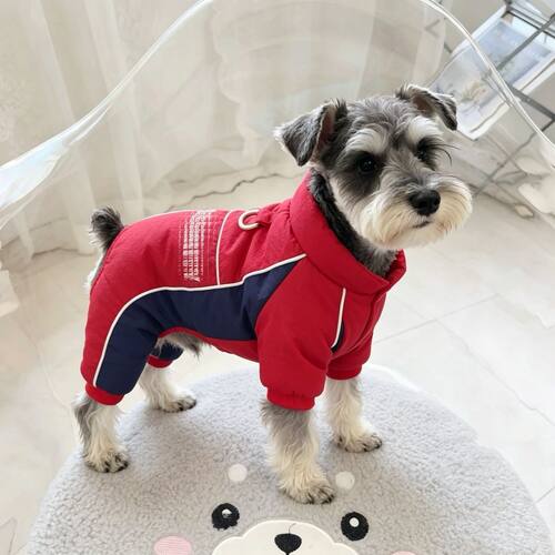 狗狗秋冬季衣服四脚棉衣厚款加厚美式四腿小型秋冬装保暖宠物
