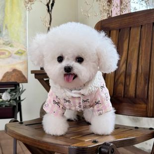 宠物衣服秋冬新款 棉服狗狗牵引加厚外套 加棉加绒四脚裤