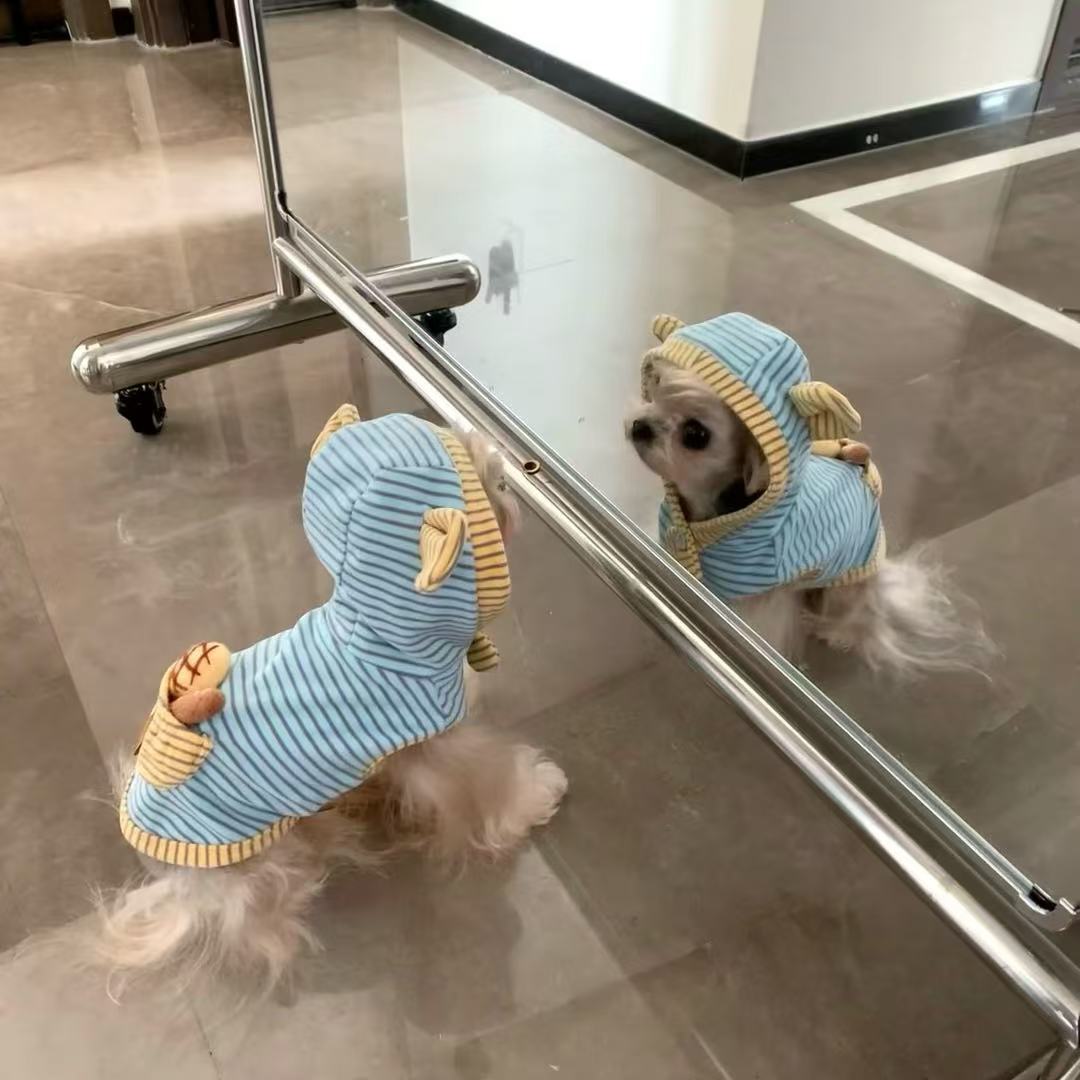 博美泰迪比熊小型犬小狗防掉毛宠物狗狗衣服春秋夏季薄款马尔济斯